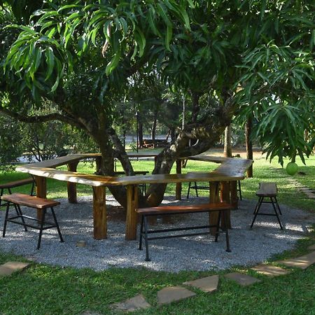 Scenic Acres Holiday Home Chikmagalur Ngoại thất bức ảnh